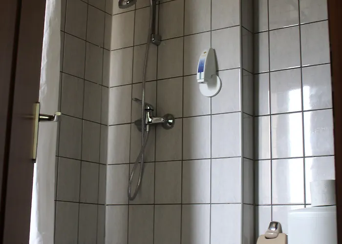 Am Roonplatz 호텔 2*